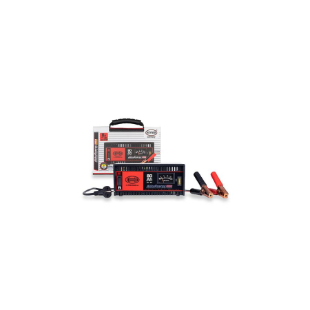 REDRESOR AKKUENERGY PRO 300 8A 12V [1]
