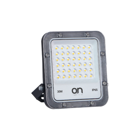 REFLECTOR LED IC 30W 2700K NIGHT PRO 30 [1]