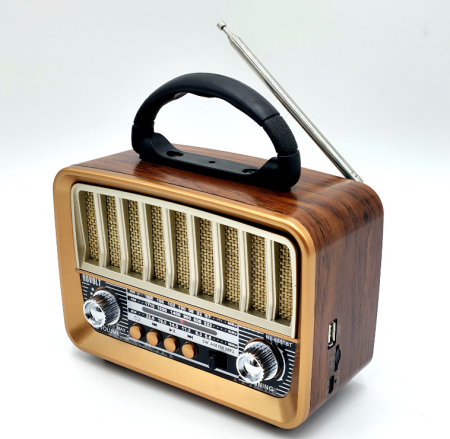 ROVOLT RADIO NS - 6651BT [1]