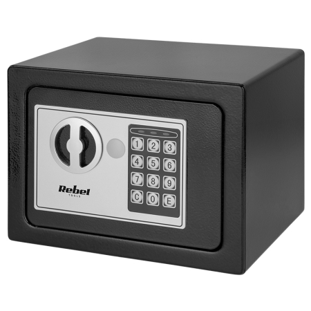 SEIF ELECTRONIC CASNIC PIN SI CHEIE REBEL [4]