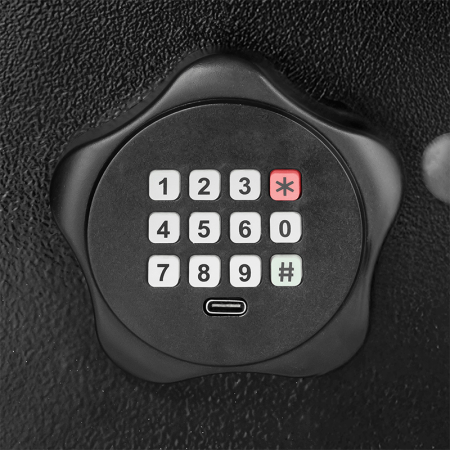 SEIF ELECTRONIC CASNIC PIN SI CHEIE REBEL [7]