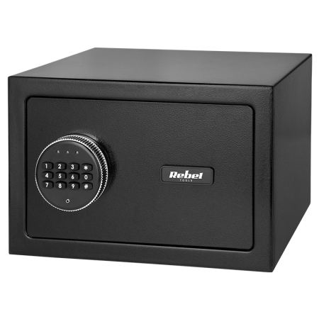 SEIF ELECTRONIC CASNIC PIN SI CHEIE REBEL [4]