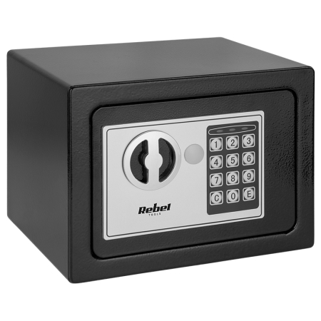 SEIF ELECTRONIC CASNIC PIN SI CHEIE REBEL [3]