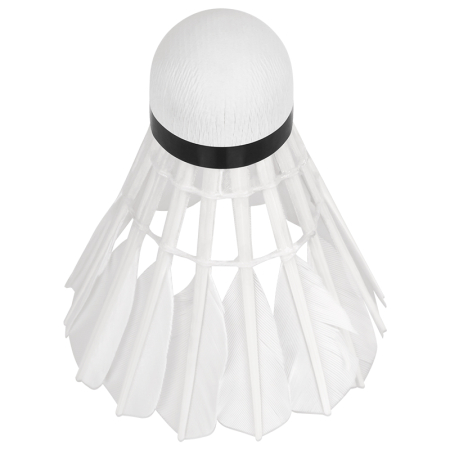 SET 6 MINGI BADMINTON REBEL ACTIVE [3]