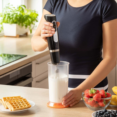 SET BLENDER DE MANA 2 VITEZE 800 W [3]