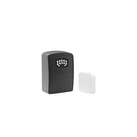 SMART BLUETOOTH SAFETY BOX GATEWAY ISNATCH [1]