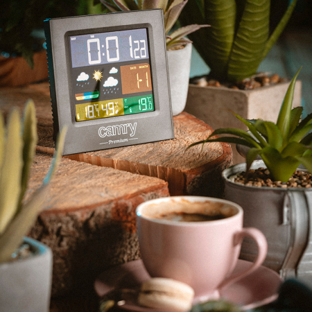 STATIE METEO CR 1166 CAMRY [6]