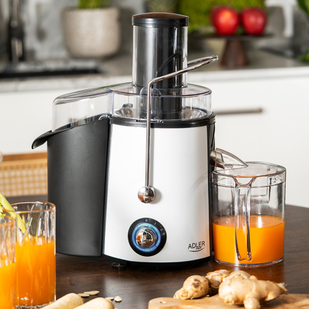 STORCATOR FRUCTE 1000W AD 4128 ADLER [10]