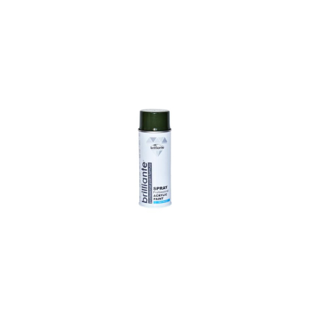 ULEIURI, LICHIDE SI CHIMICE - VOPSEA SPRAY VERDE MASLINIU (RAL 6003) 400 ml BRILLIANTE