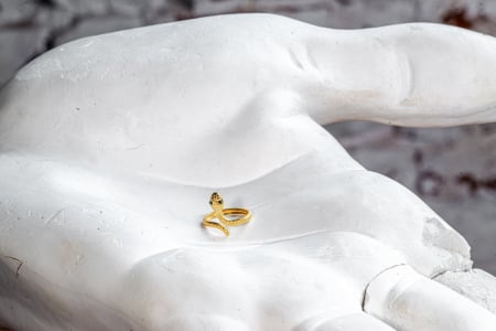 Inele - Inel SAKRO Snake