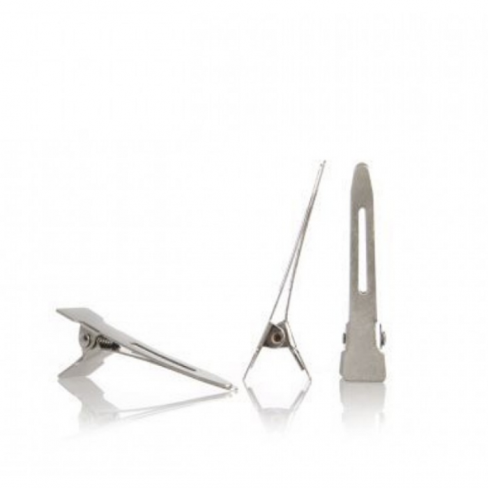 Clipsuri inox mici cu dimensiunea de 45mm.Setul contine 100 bucati. [1]