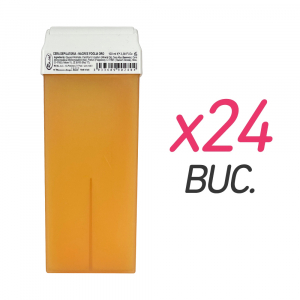 Cosmetica - Ceară de unică folosință Roial 100 ml x 24 buc – epilare profesională rapidă și eficientă