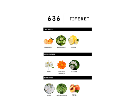Labor8 TIFERET 636 Apa de Parfum 100 Ml Unisex - Salon Expert [2]