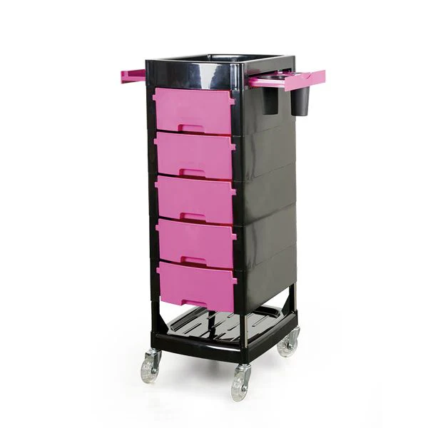 Coafura si Frizerie - Ucenic pentru Coafor Roz Bifull Ania Auxiliary Pink – Cărucior Profesional pentru Salon