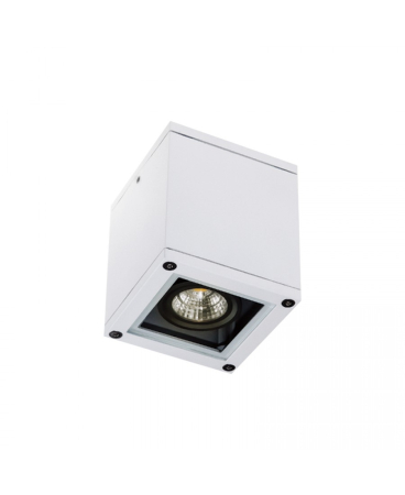 Plafoniere exterior - Plafonieră de exterior, 3000K, 1 x GU10, din aluminiu, alb, Zambelis Lights E270