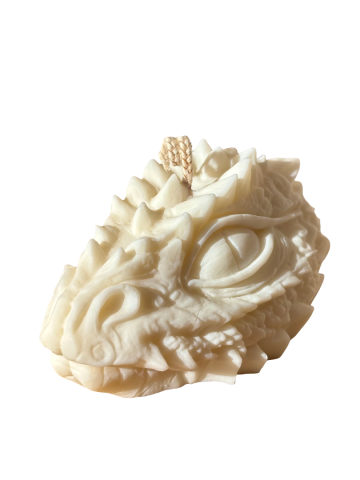 For the #booktok girlies - Spirit of the Dragon