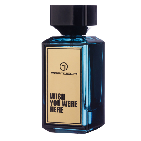 Apa de Parfum Wish You Were Here, Barbati, 100ml - Grandeur Elite [1]