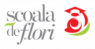 scoaladeflori.ro