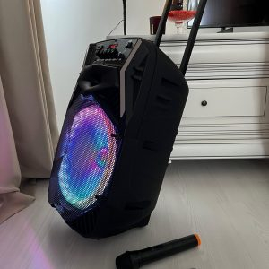 boxa wainer sk01 [3]