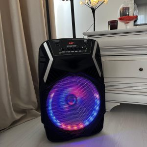 boxa wainer sk01 [4]