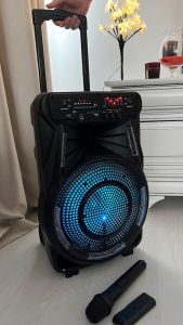 Boxa portabilă Wainer SK02 70W Bluetooth cu radio și microfon [3]