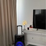 Audio - Boxa portabilă Wainer SK02 70W Bluetooth cu radio și microfon