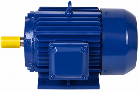 Motor electric trifazat 5,5 kW 380V 2880 rpm (ME55H) [1]