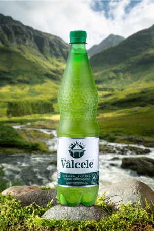 Alimente - Apa Minerala Valcele 1L