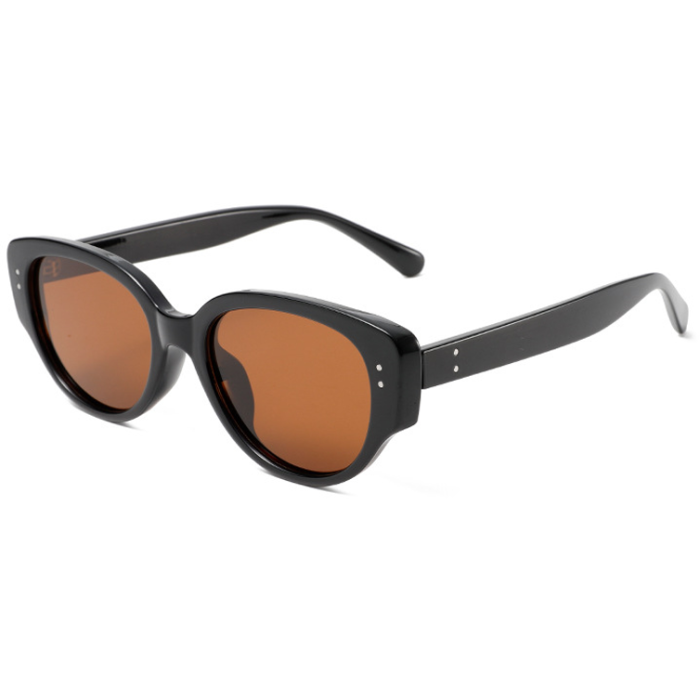 Ochelari de Soare Polar Faraway black/brown [1]