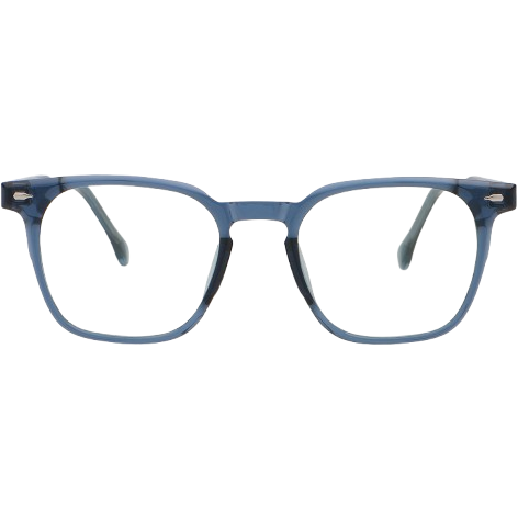 Rame de Ochelari Barbati Therry blue [2]