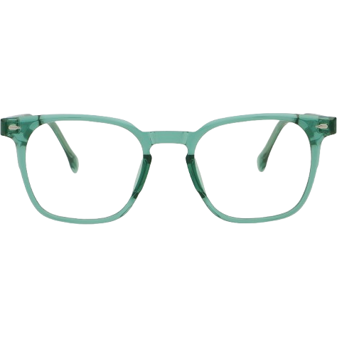 Rame de Ochelari Barbati Therry green [2]