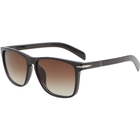 Ochelari de soare - Ochelari de Soare Ares black/brown