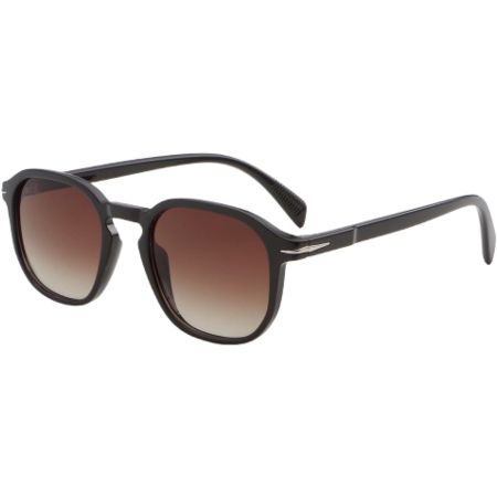 Ochelari de soare - Ochelari de Soare Barron black/brown