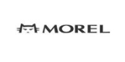Morel