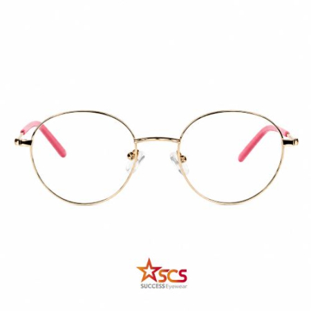 SCS MGS3718 C3 [1]
