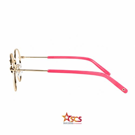 SCS MGS3718 C3 [2]