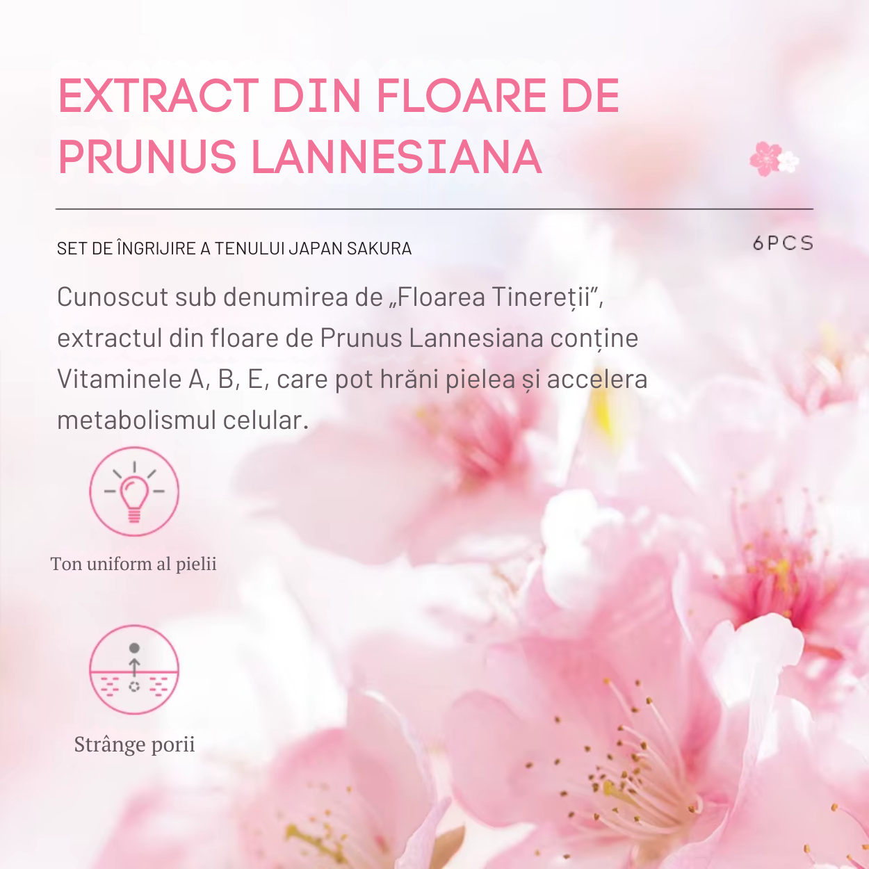 Set Îngrijire Ten Japan Sakura – 6 Piese – Hidratare, Elasticitate și Luminozitate cu Ingrediente Premium [3]