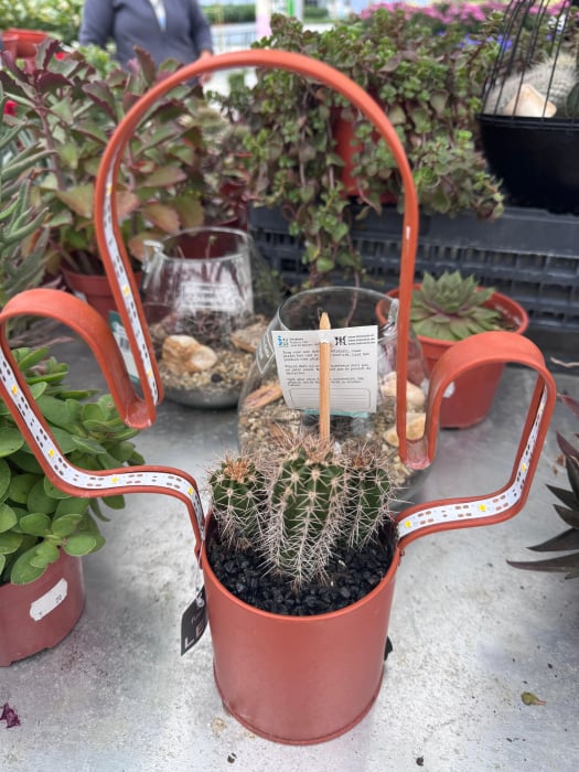 led planter zink cactusvorm met cactuss [7]