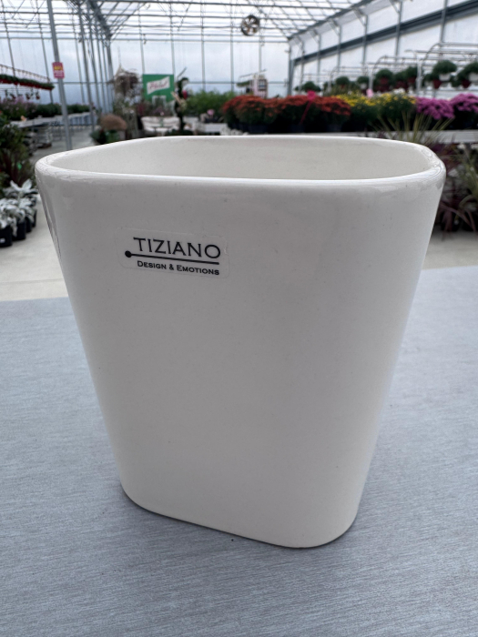 Masca ghiveci Campo 13 cm [1]