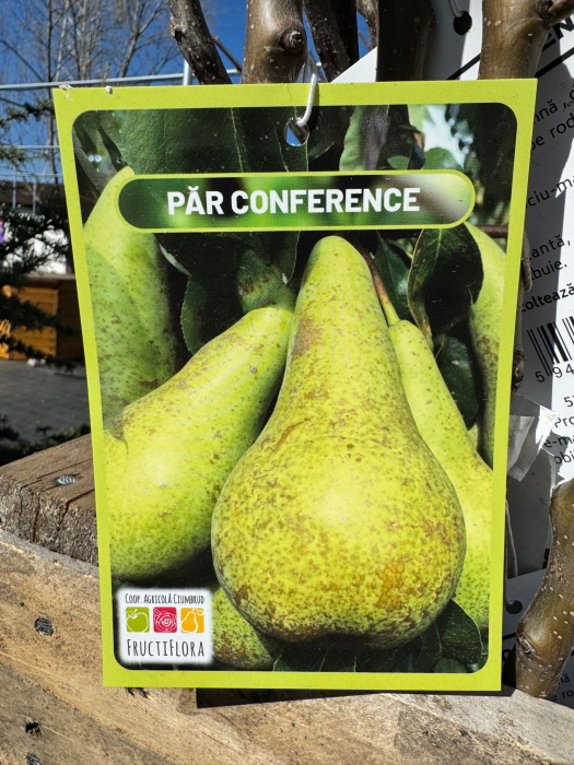 Pomi fructiferi România, diferite soiuri [13]