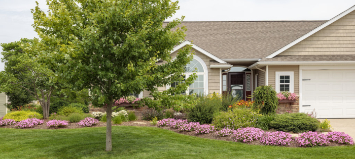 Supertunia Vista Bubblegum în ghiveci C5 [5]