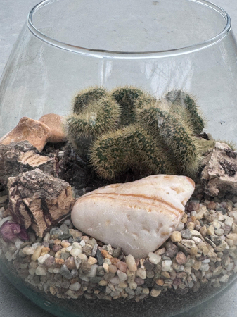 Cactus Green bottle abby small met
