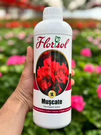 Fertilizanți - Îngrășământ Mușcate 1L