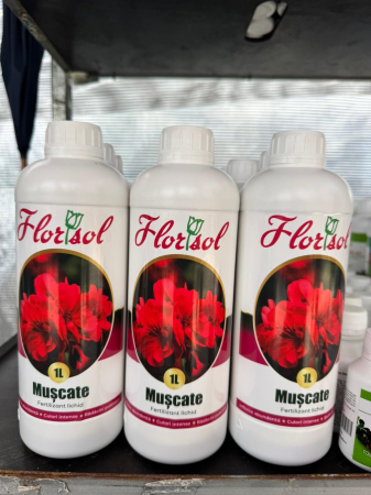 Îngrășământ Mușcate 1L [2]