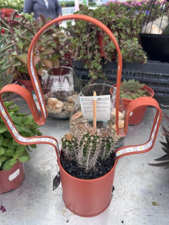 led planter zink cactusvorm met cactuss [6]