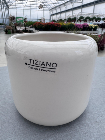 Ghivece - Masca ghiveci Bellagio 14 cm