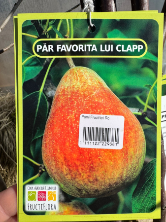 Pomi fructiferi România, diferite soiuri [4]