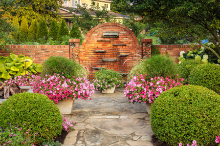 Supertunia Vista Bubblegum în ghiveci C5 [5]