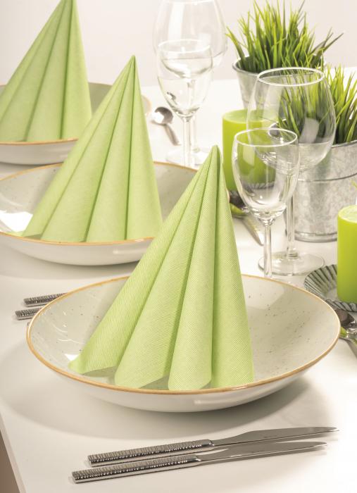 Servetele de masa festive gama Spanlin Bio (100% biodegradabile) - Dean Oliv (masliniu)/ 40 x 40 cm / 30 buc [1]