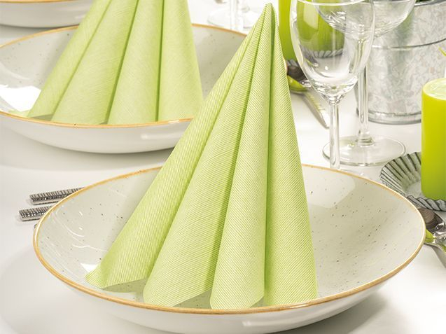 Servetele de masa festive gama Spanlin Bio (100% biodegradabile) - Dean Oliv (masliniu)/ 40 x 40 cm / 30 buc [2]